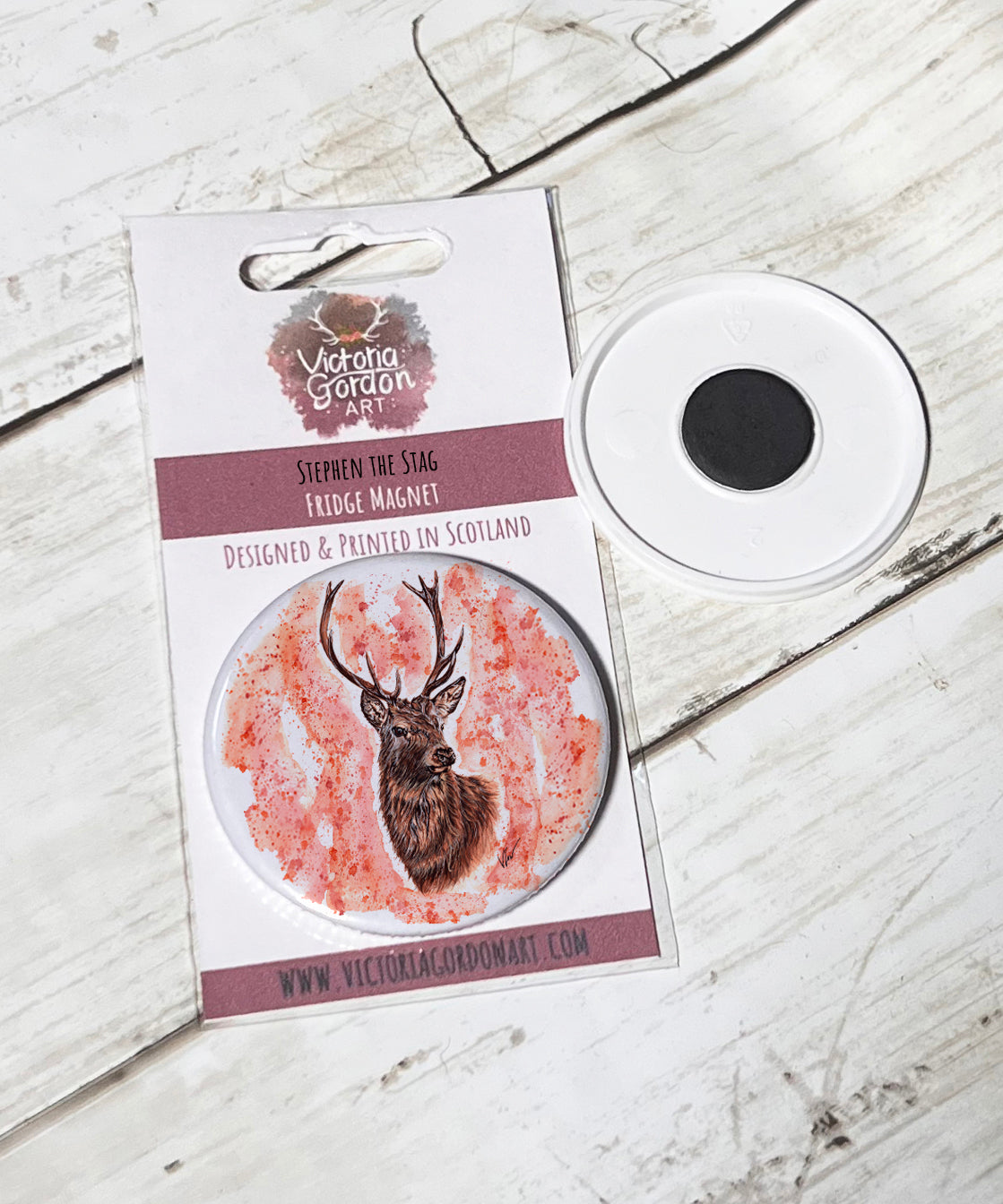 Stephen the Stag Magnet