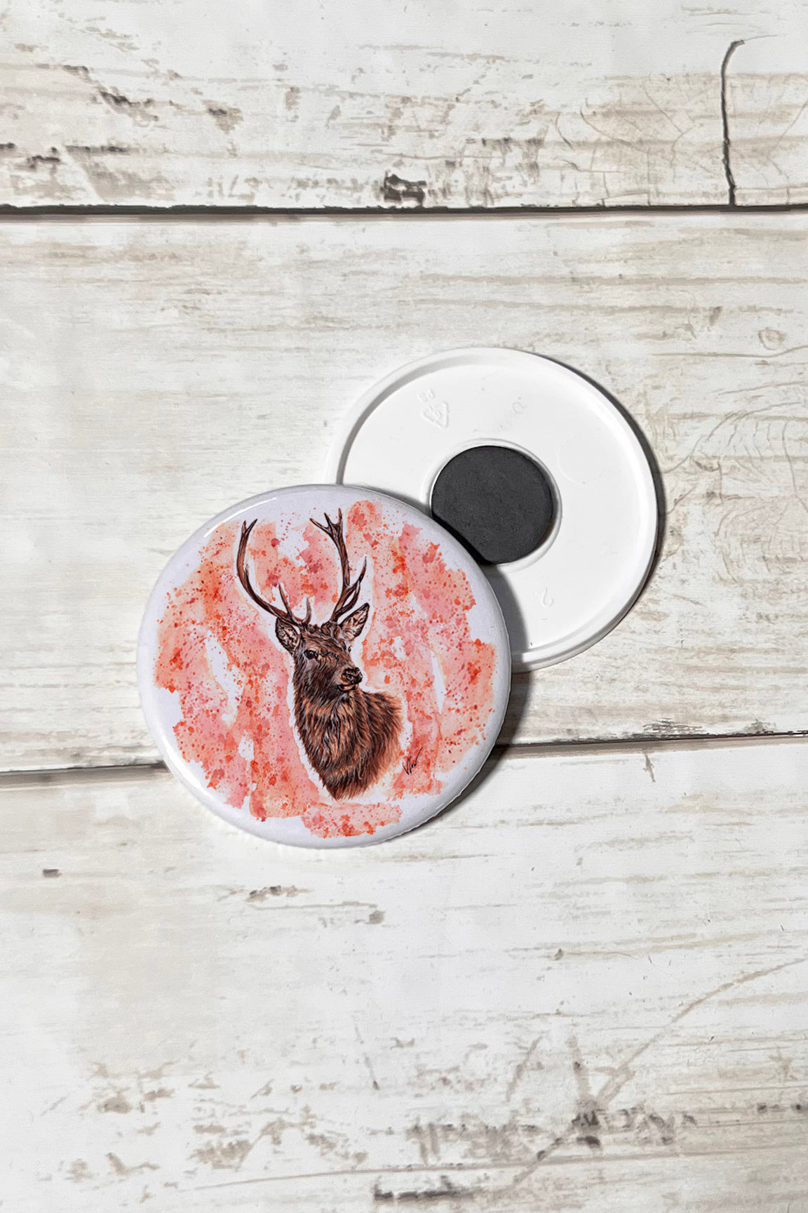 Stephen the Stag Magnet