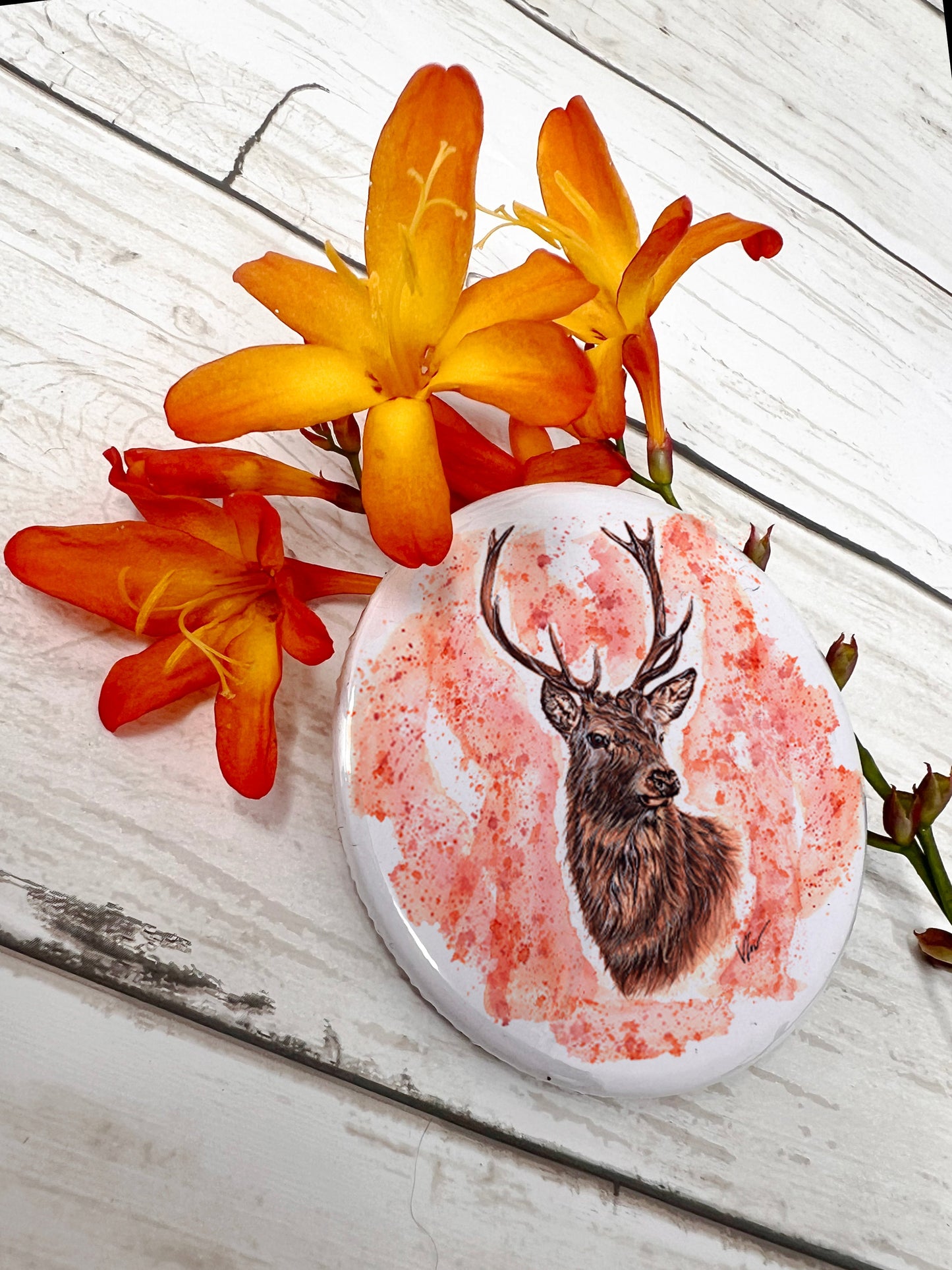 Stephen the Stag Magnet