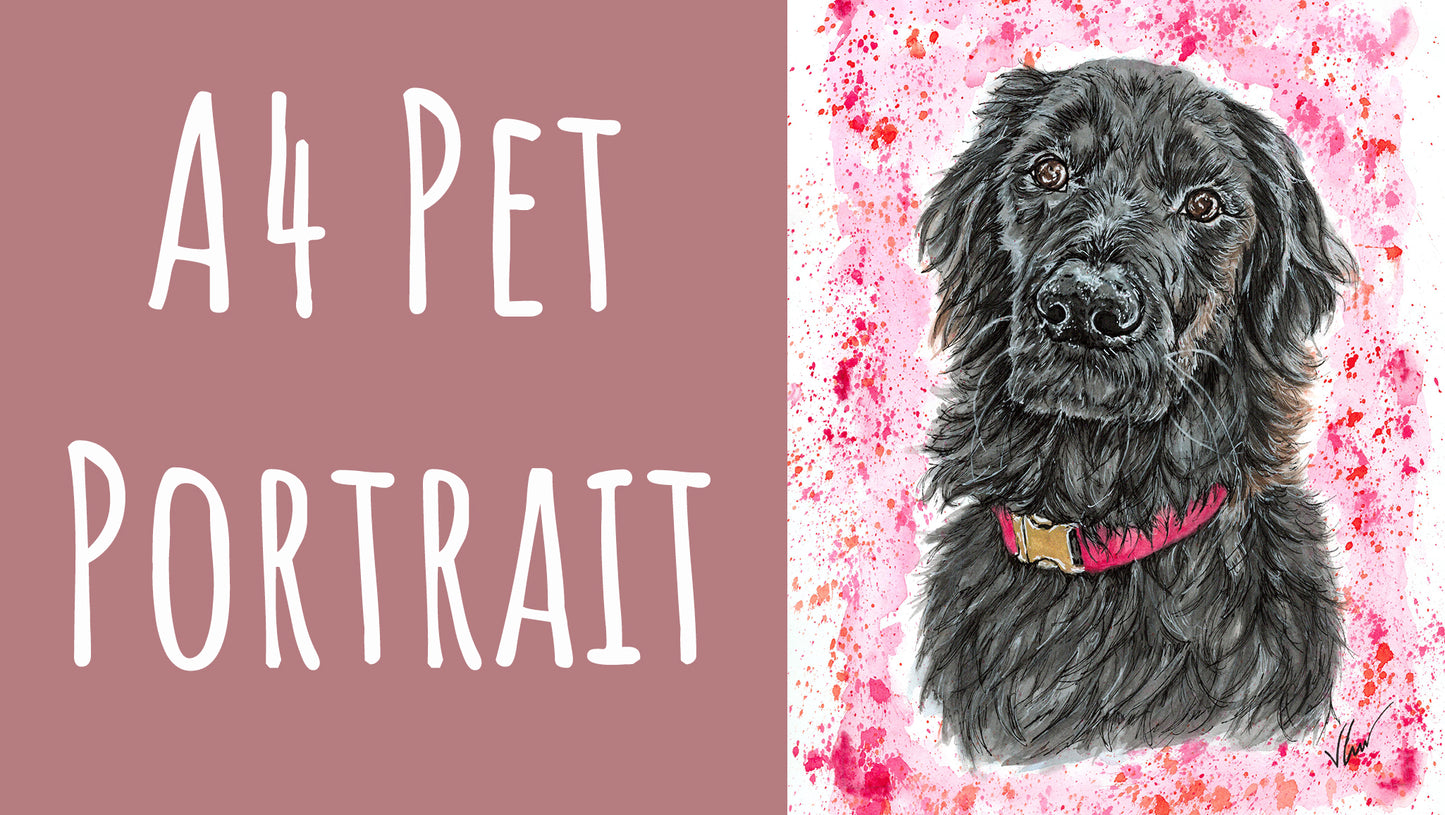 Pet Portraits