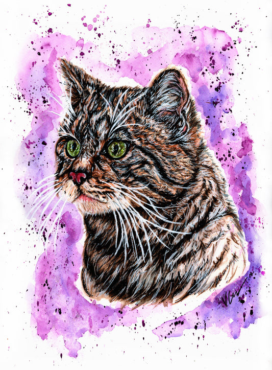 Skye The Scottish Wildcat Print